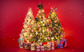 CHRISTMAS AND NEW YEAR VACATION